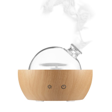 Glass Fragrance 200ml Diffuser: Scent Diffusor for Essential Oils and Aromatherapy