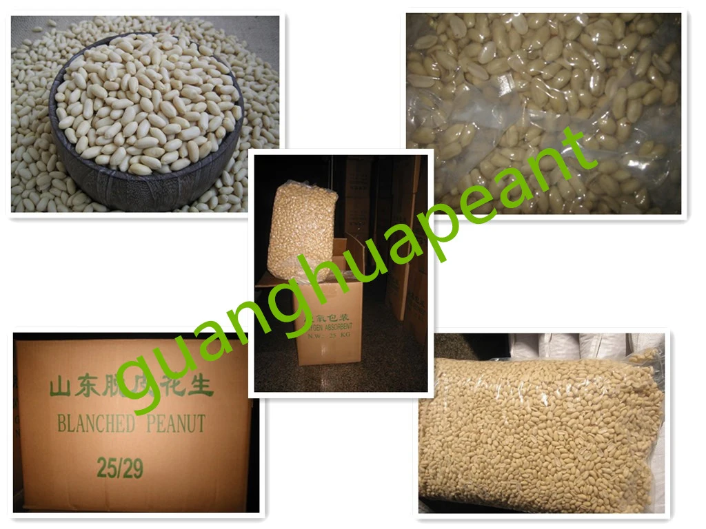 Hot Sale Blanched Peanut Kernel New Crop