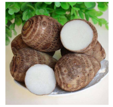 Middle East Favorite Taro