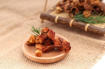 company agaricus blazei powder