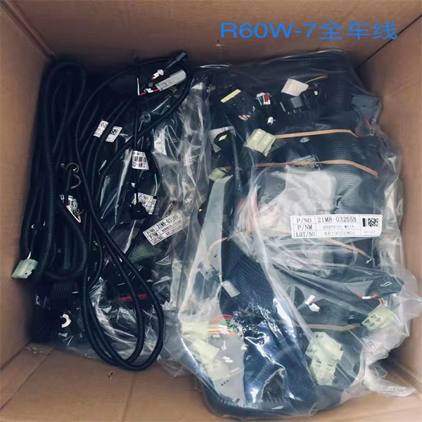 HYUNDAI R60W-7 Wiring Harness