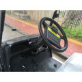 6 passeggeri golf cart nero 4wd in vendita