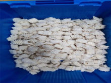 Fresh Frozen Squid Rolls Frozen Seafood