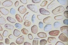 self adhesive wallpaper childrens room