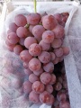 Nowy rok winogronowy