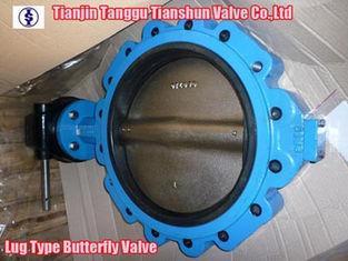 EPDM Ductile Iron Pneumatic Butterfly Valve Gear Operator 2