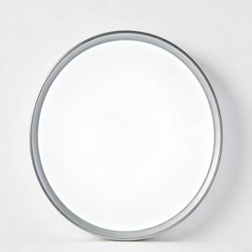 Round flush mount LED ceiling light