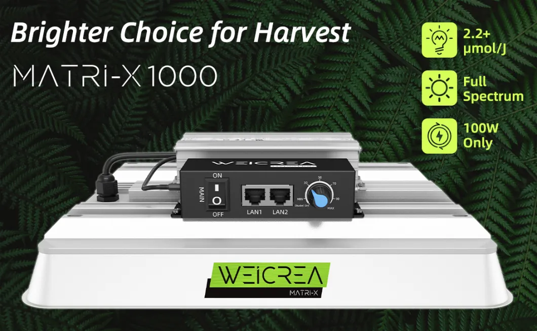 Full Spectrum LED Grow Lights