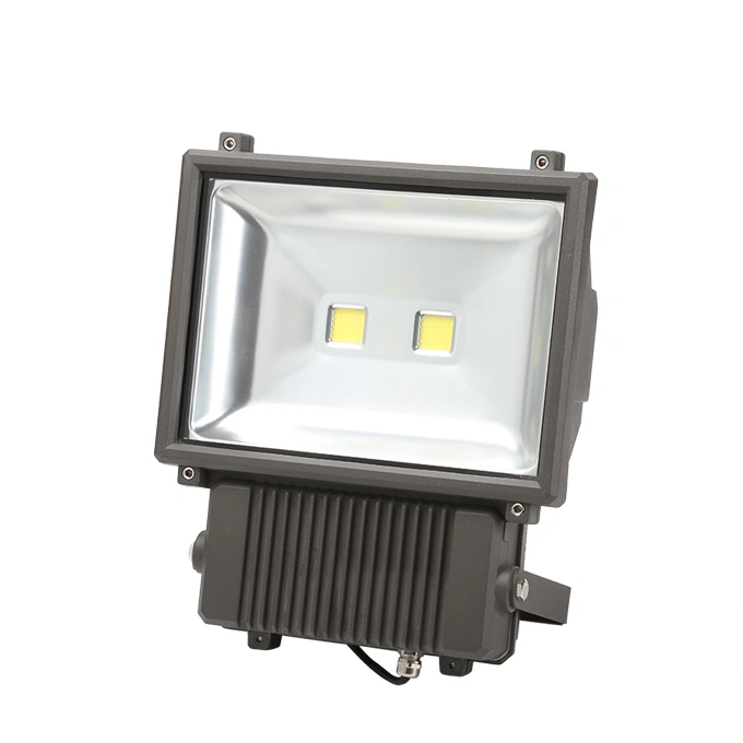 Most Powerful Brigelux 150W-180W LED Flood Light (SLFF215)