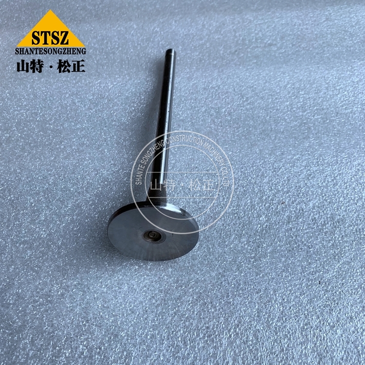 3803584 6 Jpg 3803584 6 Jpg