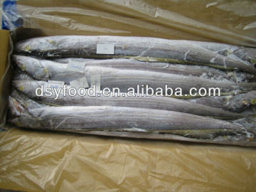 Big Ribbon Fish frozen