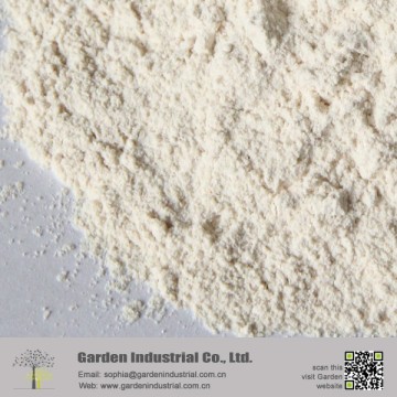 CCM MgO Powder