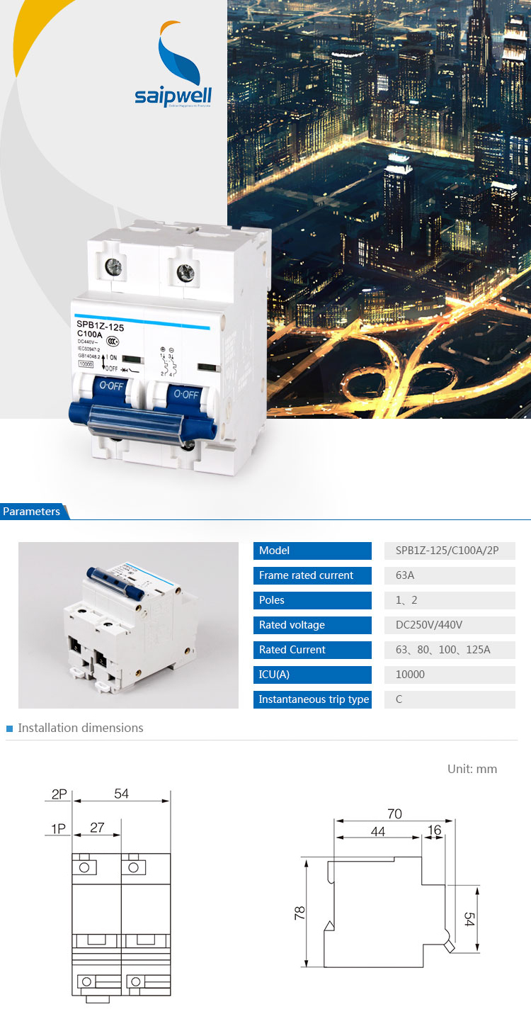 SAIP/SAIPWELL China Manufacturer 100A 2 Poles IP65 Waterproof Electrical DC MCB