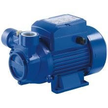 (LQ60) High Quality Cast Iron Domestic Use Peripheral Water Pump