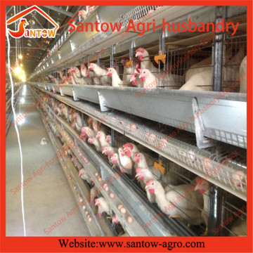 6 tiers / floors chicken layer cages poultry cages poultry layer cage design for Africa farm