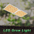 Lampu pertumbuhan LED Kuantum Big Power Grow