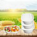 Bio-based corn starch material sheet