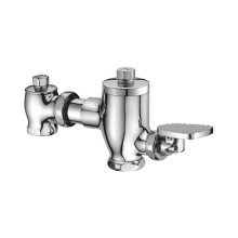 96 Series Toilet Flushometer 07