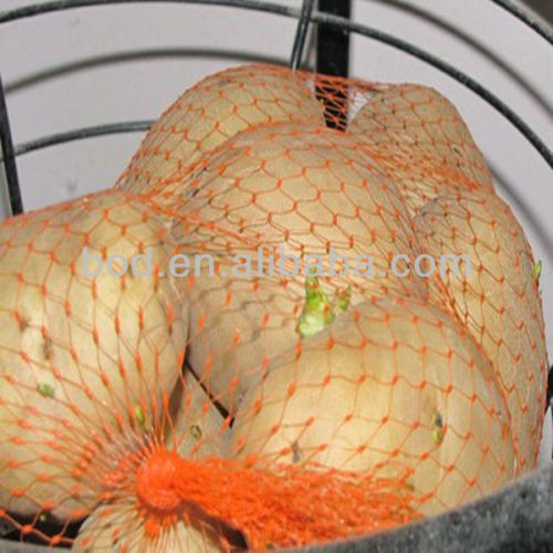 Extruded plastic mesh bag