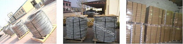 Anti Corrosion Razor Wire For Sale