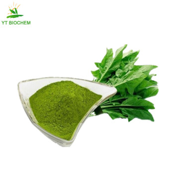 Spinach extract green spinach powder for feed grade