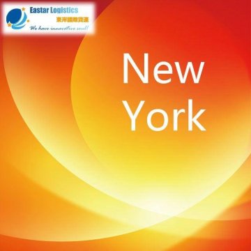 Air Freight Forwarding Service from Shanghai to New York