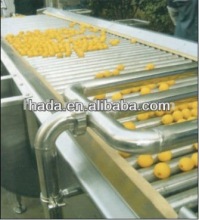 5m Fruit Lifter Machine
