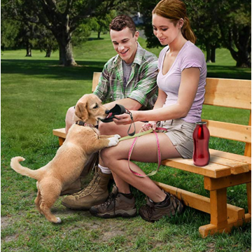 Tragbarer Hund Wasserspender