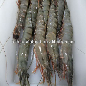 shrimp prawns frozen seafood distributors