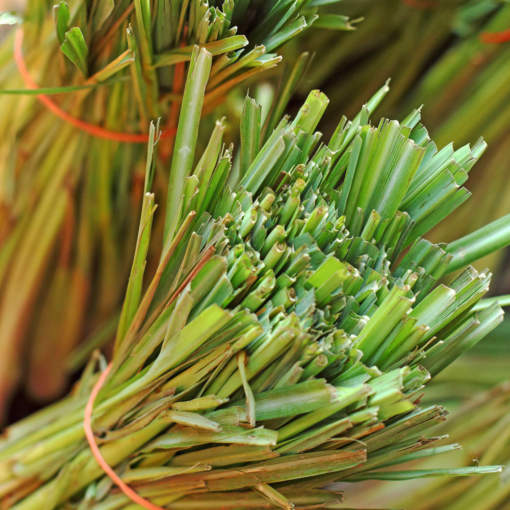 Huile de citronnelle naturelle Personnalisez l&#39;ensemble de grade supérieur en vrac