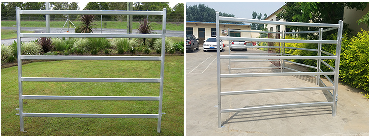 Galvanized Cheap Cattle Panel for Sale/Goat Panels