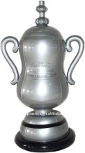 PVC Inflatable Toy Champion Cup