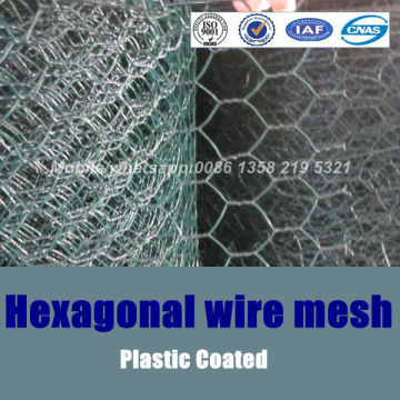 anping hexagonal mesh,galvanized hexagonal mesh,plastic coated hexagonal mesh