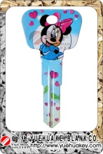 Cartoon Brass Color House Door Key Blanks