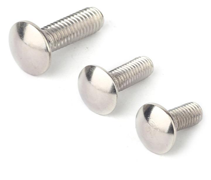 Stainless Steel carriage bolt A2 A4