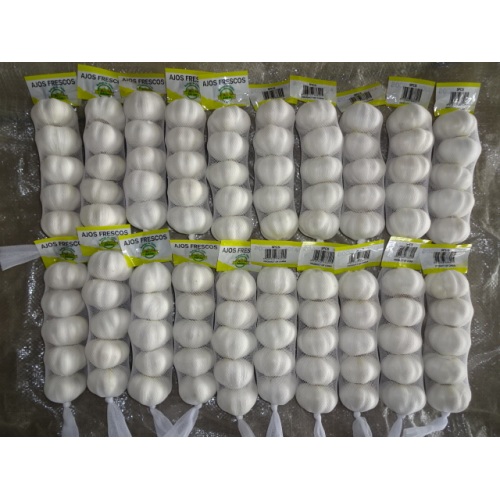 Hot Sale Pure White Garlic 2020