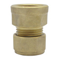 Complion Brass Female Straight Coupler