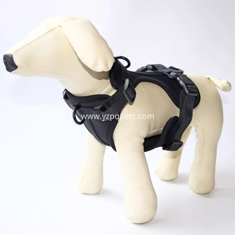 Reversible Nylon Dog Harness