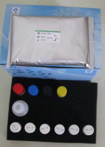 Chloramphenicol ELISA Kit