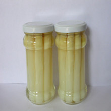 Canned Asparagus with HACCP Certified