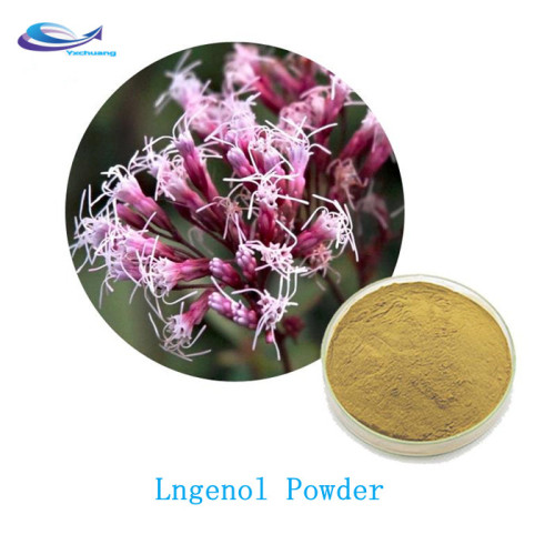 ell Fortune Eupatorium Extract Powder 10:1