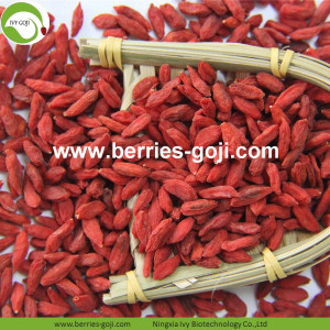 Factory Supply Nutrition Gedroogde Chinese Wolfberry