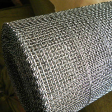 Hot Dipped Galvanized Crimped Wire Mesh