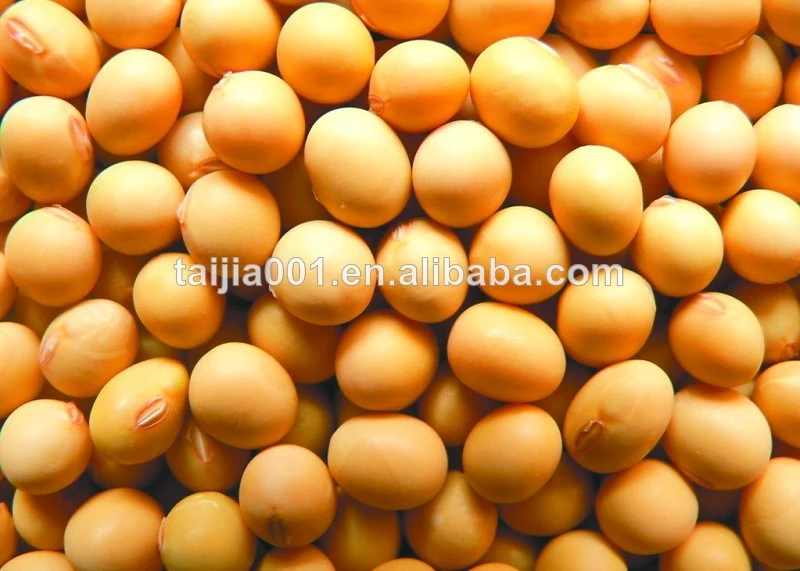 Soyabean Meal Soybean Meal Hot Sale