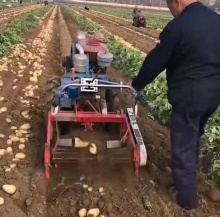 Potato Harvester for Walking Tractor - Multifunctional Potato Digger