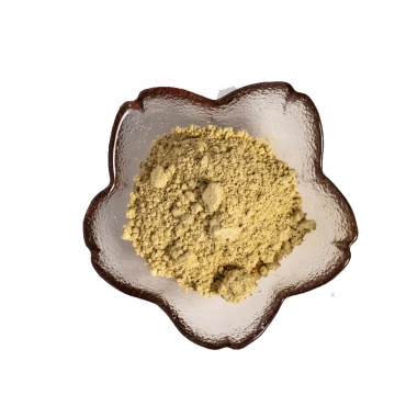 Gynostemma Pentaphyllum Powder