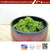 seaweed salad hiyashi wakame Frozen seaweed Salad 1kg