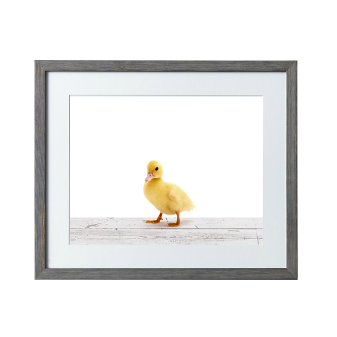 little duck wall hanging