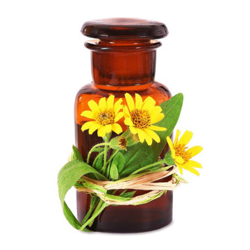 Wholesale bulk arnica oil