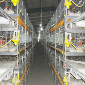 Automatischer Broiler -Hühnchen -Käfig